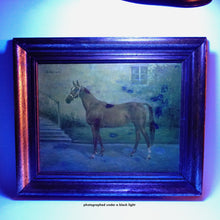 Load image into Gallery viewer, Portrait of a Horse, German Equestrian Painting Wilhelm Westerop (1876-1954) Oil on Canvas