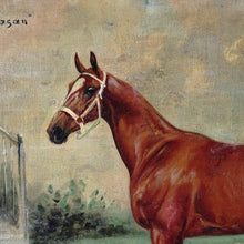 Load image into Gallery viewer, Portrait of a Horse, German Equestrian Painting Wilhelm Westerop (1876-1954) Oil on Canvas