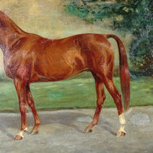 Load image into Gallery viewer, Portrait of a Horse, German Equestrian Painting Wilhelm Westerop (1876-1954) Oil on Canvas