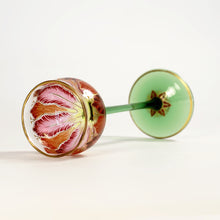 Load image into Gallery viewer, Art Nouveau Meyr's Neffe Enamel Glass Liquor Cordial Bohemian Austrian