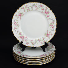 Load image into Gallery viewer, Hutschenreuther Bavaria Germany Set of 6 Porcelain Plates Richelieu Pattern, Gilt Trim, Pink Roses