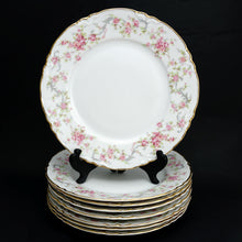 Load image into Gallery viewer, 8 Hutschenreuther Bavaria Germany Porcelain Plates Set Richelieu Roses Gilt Trim

