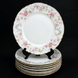 8 Hutschenreuther Bavaria Germany Porcelain Plates Set Richelieu Roses Gilt Trim