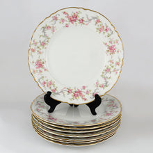 Load image into Gallery viewer, 8 Hutschenreuther Bavaria Germany Porcelain Plates Set Richelieu Roses Gilt Trim