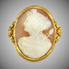 Load image into Gallery viewer, Antique French 18K gold hand carved bull&#39;s mouth shell cameo brooch pin
