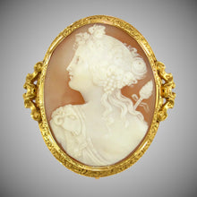 Load image into Gallery viewer, Antique French 18K gold hand carved bull's mouth shell cameo brooch pin