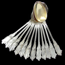 Load image into Gallery viewer, 12 Antique French Sterling Silver Dessert or Coffee Spoons