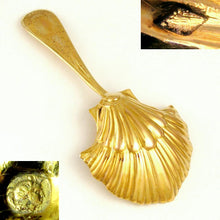 Load image into Gallery viewer, Antique French .800 Silver Gilt Vermeil Scalloped Shell Tea Caddy Spoon