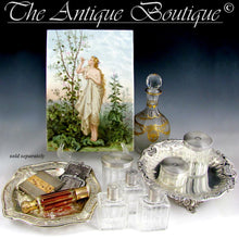 Load image into Gallery viewer, Art Nouveau French .800 Silver Chain Mail Mesh Chatelaine Purse, Mistletoe Decoration
