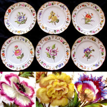 Load image into Gallery viewer, French Paris Porcelain hand painted floral plates