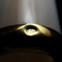 Load image into Gallery viewer, Antique French 18k Gold Mounted Mother of Pearl Cigarette or Cheroot Holder & Case, Etui