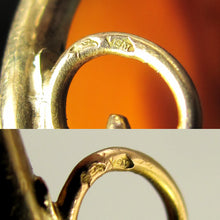 Load image into Gallery viewer, french hallmarks 18K gold head of the eagle hallmark