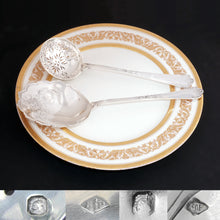 Load image into Gallery viewer, PUIFORCAT Antique French Sterling Silver FER DE LANCE Strawberry Server & Sugar Sifter Spoon Set