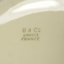 Load image into Gallery viewer, Large French Limoges Bernardaud & Co. Hand Painted Porcelain Ginger Jar, Lidded Urn Vase
