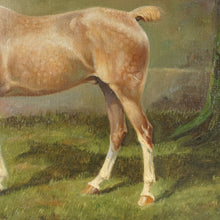 Load image into Gallery viewer, Portrait of a Horse, German Equestrian Painting Wilhelm Westerop (1876-1954) Oil on Canvas