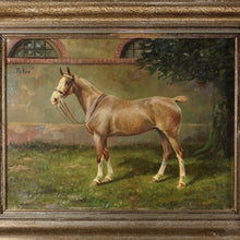 Load image into Gallery viewer, Portrait of a Horse, German Equestrian Painting Wilhelm Westerop (1876-1954) Oil on Canvas