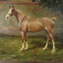 Load image into Gallery viewer, Portrait of a Horse, German Equestrian Painting Wilhelm Westerop (1876-1954) Oil on Canvas