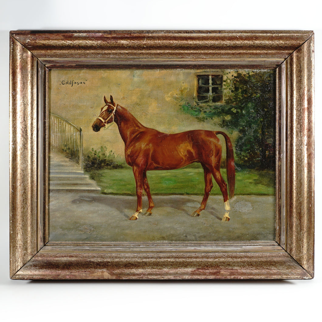 Portrait of a Horse, German Equestrian Painting Wilhelm Westerop (1876-1954) Oil on Canvas
