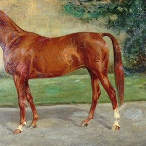 Portrait of a Horse, German Equestrian Painting Wilhelm Westerop (1876-1954) Oil on Canvas