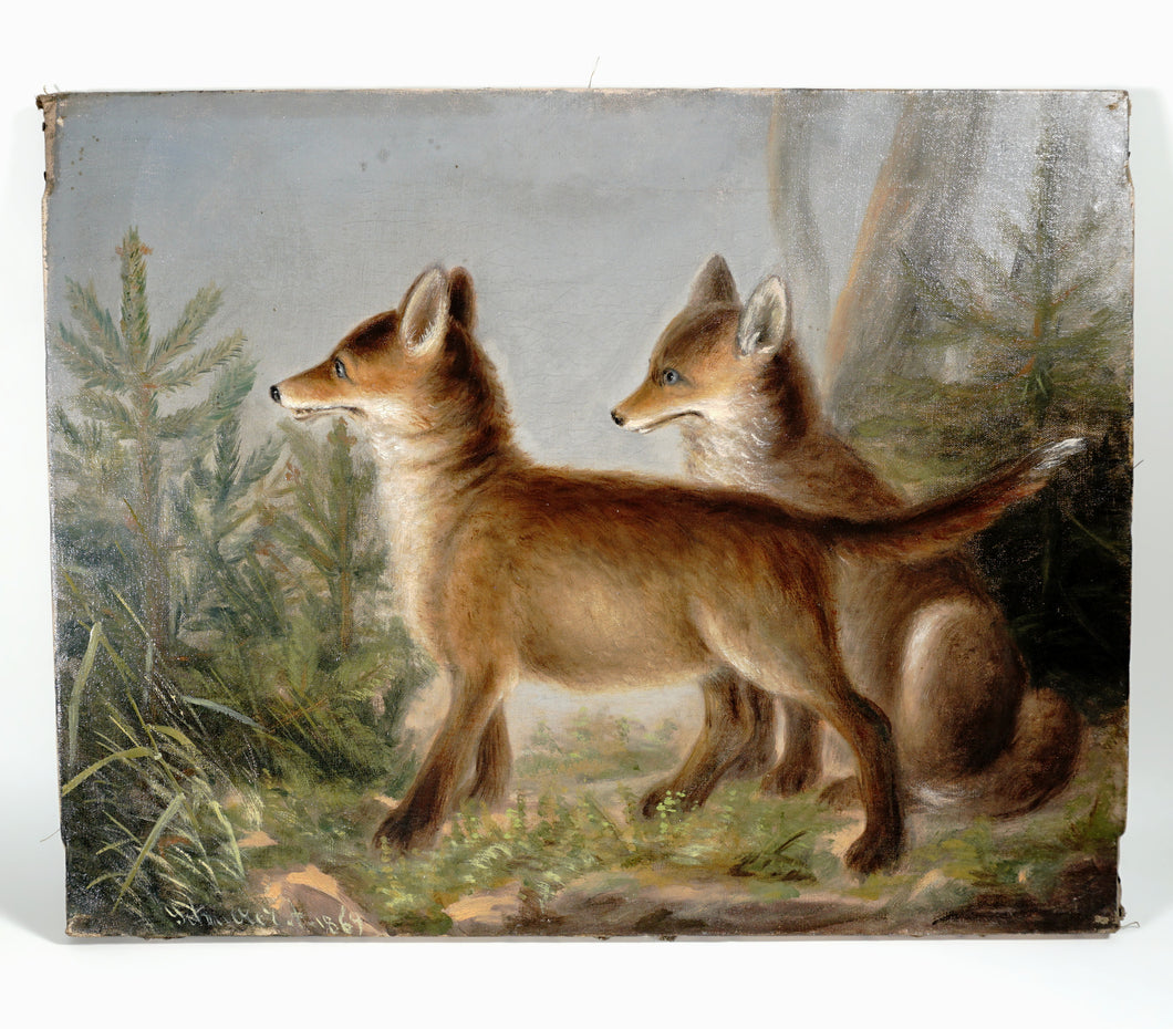Portrait of Fox Cubs, Oil Painting Heinrich Carl Schubert Austrian Wildlife Animal Genre