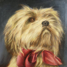 Load image into Gallery viewer, Flemish School Portrait of a Dog, Shih Tzu, Oil Painting, 1965 Ghent Belgium Exhibition
