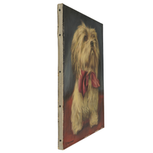 Load image into Gallery viewer, Flemish School Portrait of a Dog, Shih Tzu, Oil Painting, 1965 Ghent Belgium Exhibition
