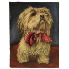 Load image into Gallery viewer, Flemish School Portrait of a Dog, Shih Tzu, Oil Painting, 1965 Ghent Belgium Exhibition
