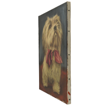 Load image into Gallery viewer, Flemish School Portrait of a Dog, Shih Tzu, Oil Painting, 1965 Ghent Belgium Exhibition
