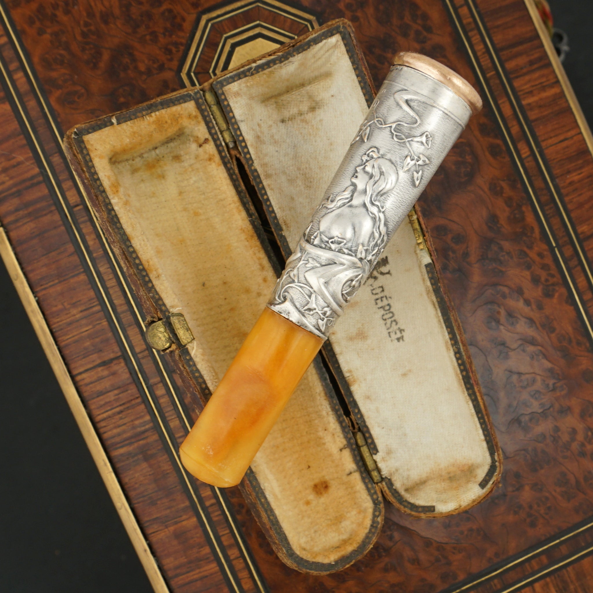 dmitri ivanovsky tobacco mosaic virus To see the works of the founder of virology – an online exhibition at St  Petersburg University