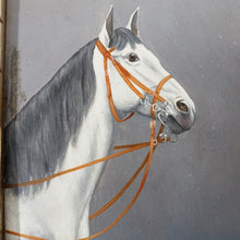 Load image into Gallery viewer, Vintage Horse Portrait Oil Painting Equestrian Study
