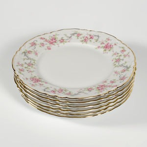Hutschenreuther Bavaria Germany Set of 6 Porcelain Plates Richelieu Pattern, Gilt Trim, Pink Roses