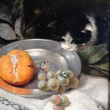 Load image into Gallery viewer, Still Life Portrait Cat and Fruit, 19thc German Oil Painting Signed
