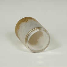 Load image into Gallery viewer, Antique French Saint Louis Acid Etched Glass Tumbler Cup, Empire Nelly Pattern, Gold Gilt Accents
