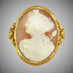 Antique French 18K gold hand carved bull's mouth shell cameo brooch pin
