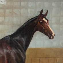 Load image into Gallery viewer, German Equestrian Portrait of a Horse Oil on Canvas Painting Wilhelm Westerop (1876-1954
